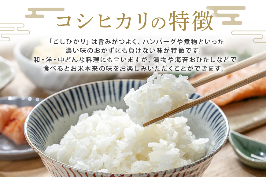 常陸大宮産 コシヒカリ 10kg(5kg×2) 特選限定米 白米 精米 おこめ ご飯 国産米 お米ギフト ブランド米 贈答用 人気のお米 美味しいお米 【一般財団法人常陸大宮市観光物産協会】【ho1397】
