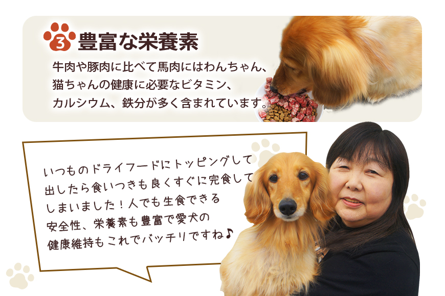 馬肉モモ肉粗挽ミンチ肉500g×6 【そうざい男しゃく（株式会社池延）】【ho1421】