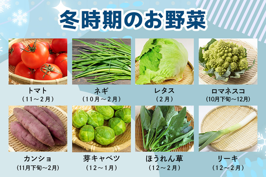 【産地直送】季節の奥久慈野菜 詰め合せセット（春、夏、秋、冬） 野菜 野菜セット 季節 セット 特産 詰め合わせ 国産 旬 おまかせ お楽しみ 直送 【常陸大宮5Hクラブ】【ho1483】