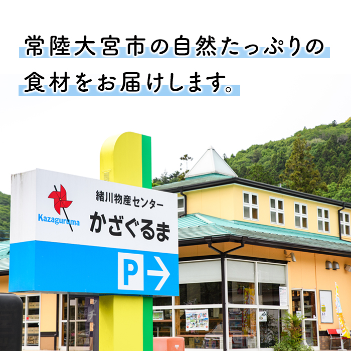 うまかっぺ米 奥久慈卵 極上TKG 卵かけご飯セット 卵 たまご 米 お米 こめ コシヒカリ こしひかり 5kg 茨城 醤油 卵かけご飯 卵ご飯 ご飯 セット 【物産センターかざぐるま】【ho0880】