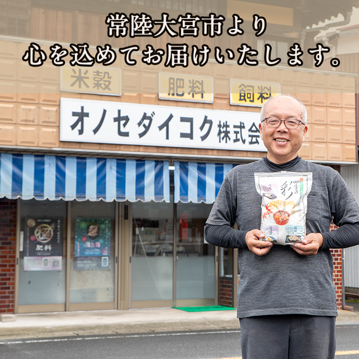 手造り熟成極糀味噌 青大豆＆白大豆セット B 青大豆味噌900g×3袋 白大豆味噌900g×3袋 みそ 生味噌 豆味噌 無添加 茨城県 味噌 蔵元直送 麹みそ 長期熟成 国産 常陸大宮市産米 大豆 自然塩100％ 袋入 蔵出し 手作り 米麹 みそ汁 味噌汁 老舗 【オノセダイコク株式会社】【ho1252】