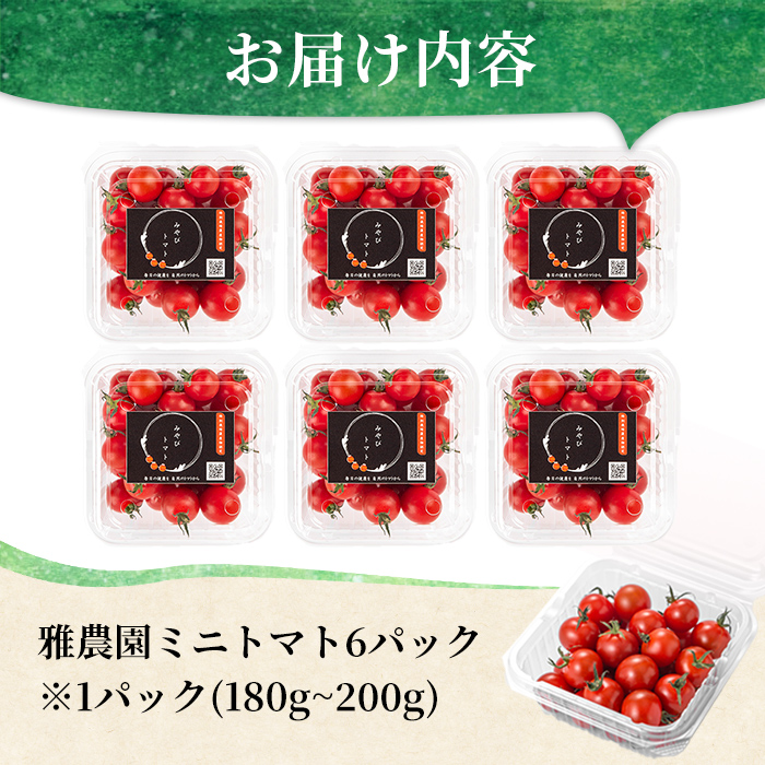 雅農園ミニトマト6パック トマト 野菜 とまと やさい 新鮮 産地直送 ミニトマト【雅農園】【ho1428】