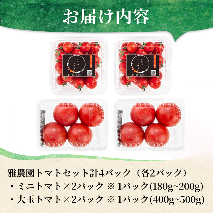 雅農園ミニトマト＆大玉トマトセット  トマト 野菜 とまと やさい 新鮮 産地直送 ミニトマト 【雅農園】【ho1430】