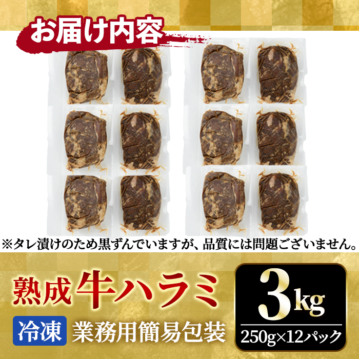 熟成牛ハラミ 3kg (250g×12パック) たれ 味付 小分け 冷凍 焼肉 焼き肉 牛 牛肉 ビーフ ハラミ BBQ 【そうざい男しゃく（株式会社池延）】【ho1470】