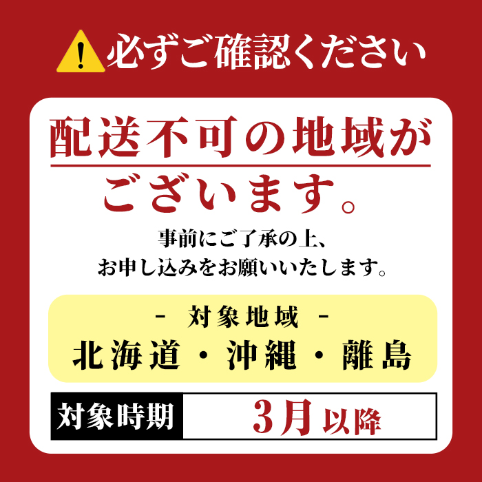【先行予約】ごほうびいちご（厳選とちおとめ）2パック入り（12～28粒）黒パッケージ いちご イチゴ 苺 とちおとめ フルーツ 果物 くだもの デザート 【hiko farm（ヒコファーム）】 【ho1571】