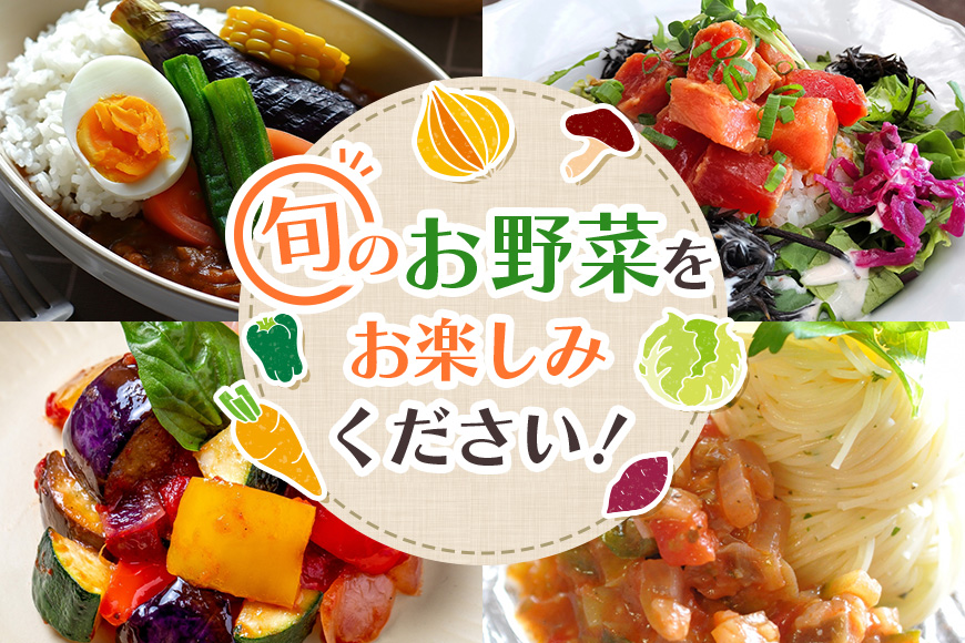 新鮮 奥久慈産 旬の野菜詰め合わせ 季節 セット 茨城県 特産 野菜セット 詰め合わせ 国産 旬 お試し おまかせ お楽しみ 野菜 採れたて 美味しい 直送 【元気な郷づくり株式会社】【ho0871】