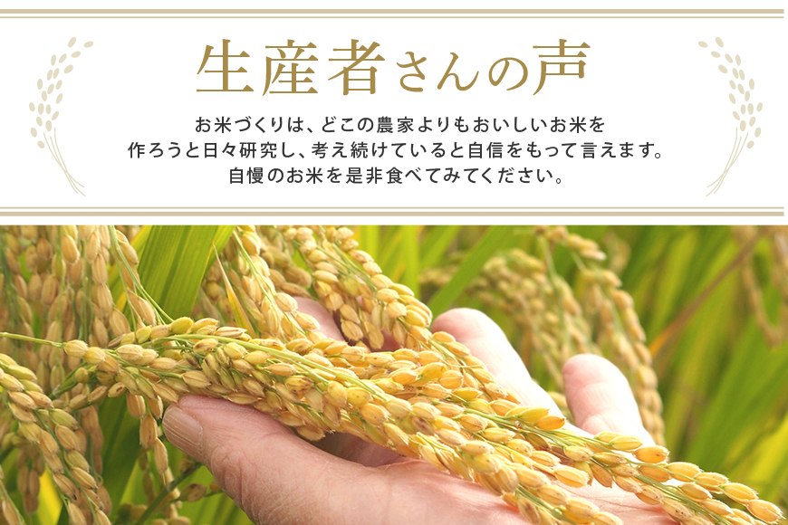 常陸大宮産 コシヒカリ 5kg 特選限定米 白米 精米 おこめ ご飯 国産米 お米ギフト ブランド米 贈答用 人気のお米 美味しいお米 【一般財団法人常陸大宮市観光物産協会】【ho1396】