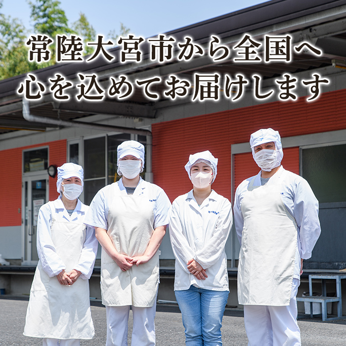 生パスタ フェットチーネ スパゲッティーニ 麺のみ 12ヶ月 定期便 パスタ 食べ比べ 詰め合わせ 個包装 小分け 定期 麺 めん 生麺 小麦 冷蔵 クール便 【（有）中橋製麺所】【ho1615】