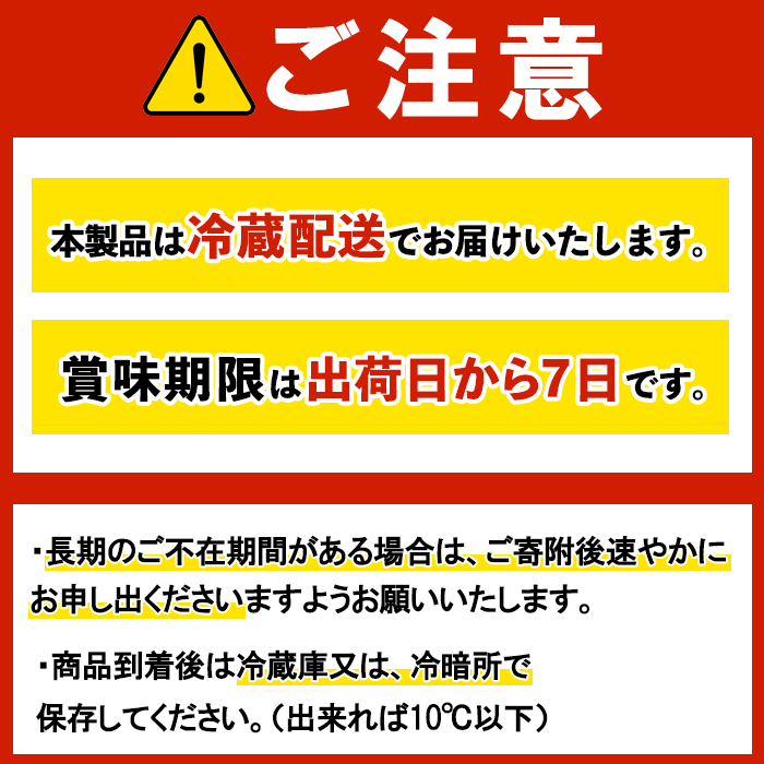 生パスタ　フェットチーネ（麺のみ）10人前 パスタ 生パスタ フェットチーネ 麺 めん 生麺 小麦 冷蔵 クール便 【（有）中橋製麺所】【ho1515】