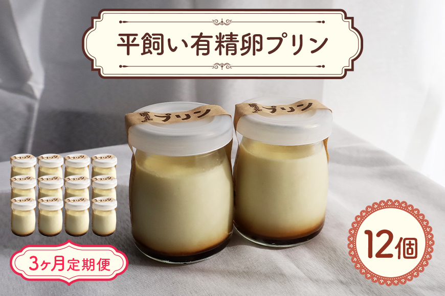 環の花 平飼い有精卵プリン 12個 3ヶ月定期便 スイーツ お菓子 濃厚 新鮮 国産 ぷりん 冷蔵 おやつ デザート たまご 贈り物 グルメ プレゼント 洋菓子 プリン スイーツギフト 詰め合わせ 誕生日 内祝い 定期便 【環の花】【ho1395】