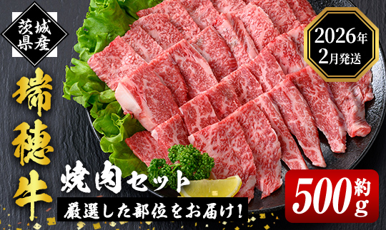 ＜2026年2月中には発送＞ 瑞穂牛焼肉セット 約500g 牛肉 やきにく バラ 肩ロース 肩 肩バラ トモサンカク イチボ ブランド牛 冷凍配送 茨城県 お中元 焼肉の日 敬老の日 瑞穂牛 焼肉 10種 盛り合わせ 食べ比べ 国産 肉 BBQ セット 【（株）フロンティアロード】【ho0858-1-02】