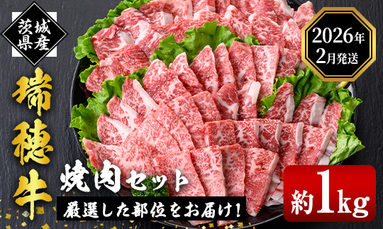 ＜2026年2月中に発送＞ 瑞穂牛焼肉セット 1.0Kg 牛肉 やきにく バラ 肩ロース 肩 肩バラ トモサンカク イチボ ブランド牛 冷凍配送 茨城県 お中元 焼肉の日 敬老の日 常陸牛 焼肉 盛り合わせ 食べ比べ 国産 肉 BBQ セット 【（株）フロンティアロード】【 ho0903-1-02】