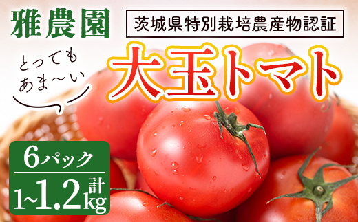 雅農園大玉トマト4パック トマト 野菜 とまと やさい 新鮮 産地直送 【雅農園】【ho1429】