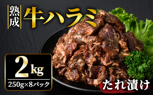 熟成牛ハラミ 2kg (250g×8パック) たれ 味付 小分け 冷凍 焼肉 焼き肉 牛 牛肉 ビーフ ハラミ BBQ 【そうざい男しゃく（株式会社池延）】【ho1469】