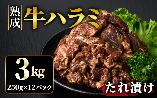 熟成牛ハラミ 3kg (250g×12パック) たれ 味付 小分け 冷凍 焼肉 焼き肉 牛 牛肉 ビーフ ハラミ BBQ 【そうざい男しゃく（株式会社池延）】【ho1470】