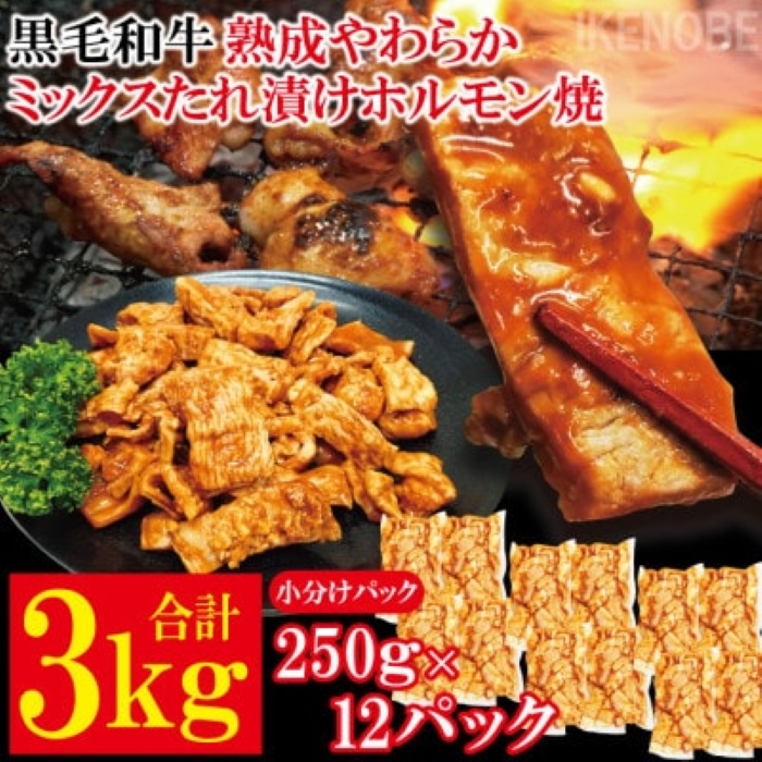 黒毛和牛熟成やわらかミックスたれ漬けホルモン焼 直営焼肉店の味3kg[250g×12P] 牛肉 黒毛和牛 和牛 ホルモン ミックス 熟成 たれ漬け タレ 味付け肉 焼肉 小分け 惣菜 おかず 弁当 冷凍 【そうざい男しゃく（株式会社池延）】 【ho1493】
