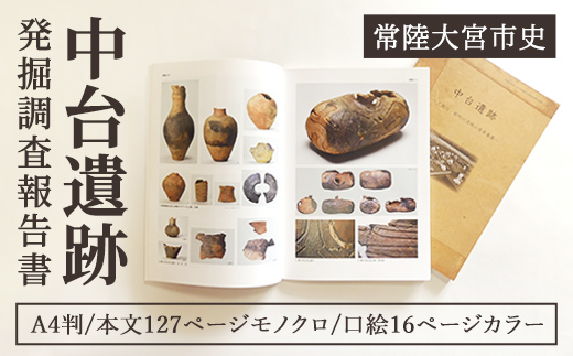 中台遺跡 発掘 調査 報告書 遺物 遺跡 土器 古墳 歴史 資料 日本史 茨城県 【常陸大宮市教育委員会事務局文化スポーツ課】【ho1498】