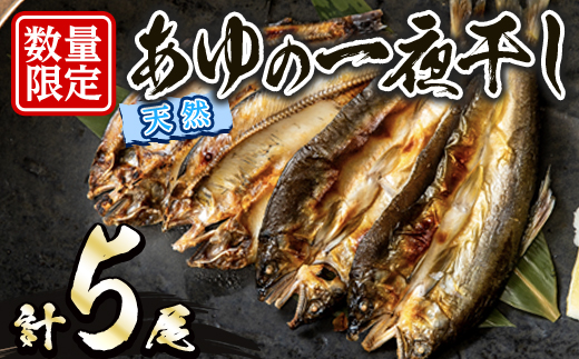 久慈川産 天然あゆの一夜干し 鮎 あゆ アユ 魚 魚介 川魚 一夜干し 簡単 調理 冷凍 【木村信次商店/丸信ドライブイン】【ho1551】