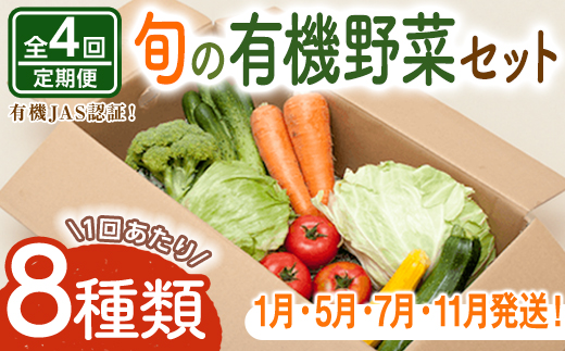 コトコトファーム 旬の有機栽培野菜セット 全4回 定期便 野菜 セット 有機JAS 詰め合わせ 国産 旬 季節 おまかせ お楽しみ 冷蔵 【コトコトファーム】【ho1552】