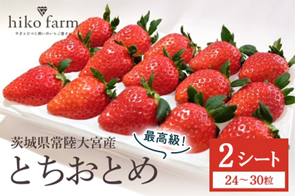 【先行予約】いちごのおくりもの（最高級とちおとめ）2シート（24～30粒） いちご イチゴ 苺 とちおとめ フルーツ 果物 くだもの デザート 【hiko farm（ヒコファーム）】【ho1570】