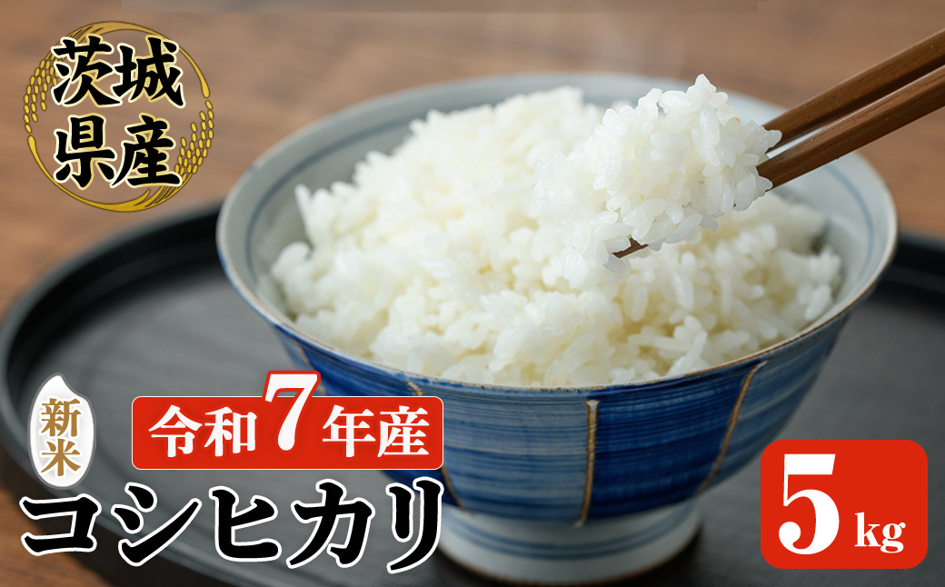 常陸大宮産 コシヒカリ 5kg 米 お米 新米 令和7年 精米 白米 こめ コメ ご飯 ごはん コシヒカリ こしひかり 5kg 5キロ 【常陸農業協同組合】【ho1574】
