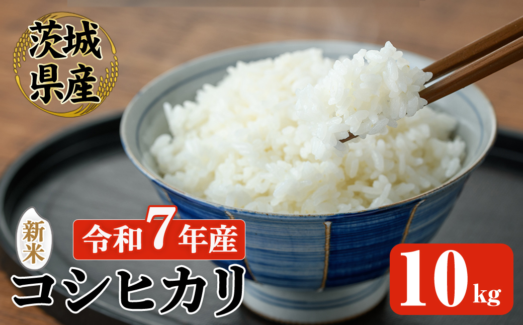 常陸大宮産 コシヒカリ 10kg 米 お米 新米 令和7年 精米 白米 こめ コメ ご飯 ごはん コシヒカリ こしひかり 10kg 5キロ 【常陸農業協同組合】【ho1575】