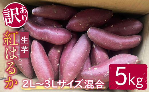 【訳あり】サツマイモ（紅はるか） 5kg 2L～3Lサイズ混合 訳あり わけあり さつまいも サツマイモ べにはるか 紅はるか 生芋 なまいも 常温 【桑原農園】【ho1580】