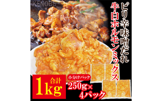 牛白ホルモンミックス ピリ辛味噌だれ 1kg(250g×4パック) 冷凍 小分け ホルモン 味噌 たれ 味付 焼肉 焼き肉 肉 牛 牛肉 おかず おつまみ 【そうざい男しゃく（株式会社池延）】【ho1598】