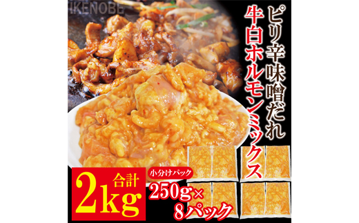 牛白ホルモンミックス ピリ辛味噌だれ 2kg(250g×8パック) 冷凍 小分け ホルモン 味噌 たれ 味付 焼肉 焼き肉 肉 牛 牛肉 おかず おつまみ 【そうざい男しゃく（株式会社池延）】【ho1599】