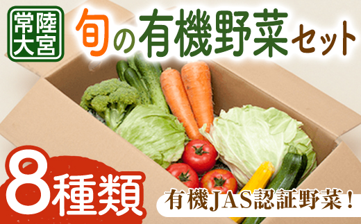 コトコトファーム 旬の有機栽培野菜セット 野菜 セット 有機JAS 詰め合わせ 国産 旬 季節 おまかせ お楽しみ 冷蔵 【コトコトファーム】【ho1602】