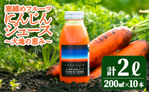 寒締めフルーツ にんじんジュース ～大地の恵み～ 200ml 10本入り ニンジン にんじん 有機野菜 有機 オーガニック JAS ジュース 常温 常温保存 贈答 ギフト 詰め合わせ 【株式会社レインボーフューチャー】【ho1605】