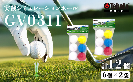タバタ Tabata ソフトボール[GV0311]　2個セット ゴルフ ゴルフ用品 練習用ボール 実践シミュレーションボール スポーツ 茨城県 送料無料 5000円 五千円 【テンポイント（株）】【ho1630】