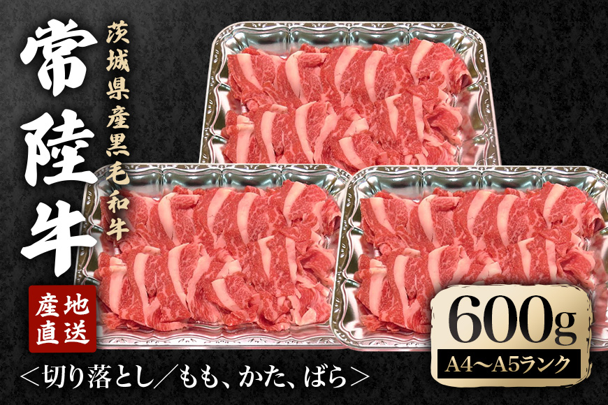 瑞穂農場で育てた常陸牛切り落としセット 約600g 冷凍配送 牛肉 ブランド牛 A4 A5 A4ランク A5ランク 茨城県 モモ ばら かた 赤身 霜降り 部位ミックス 国産 切り落とし 国産牛 柔らか 牛丼 肉じゃが 冷凍 お取り寄せ 【株式会社フロンティアロード】【ho0863】