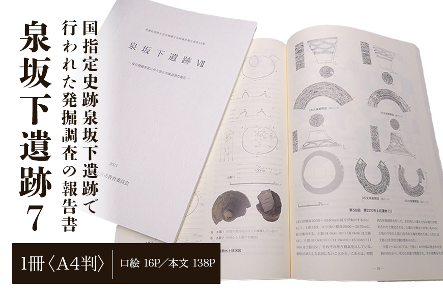 泉坂下遺跡7 1冊 弥生時代 報告書 発掘調査 茨城県 【常陸大宮市教育委員会事務局文化スポーツ課】【ho1313】