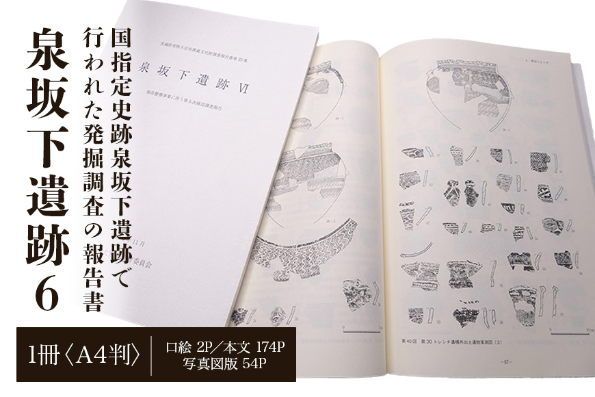 泉坂下遺跡6 1冊 弥生時代 報告書 発掘調査 茨城県 【常陸大宮市教育委員会事務局文化スポーツ課】【ho1314】