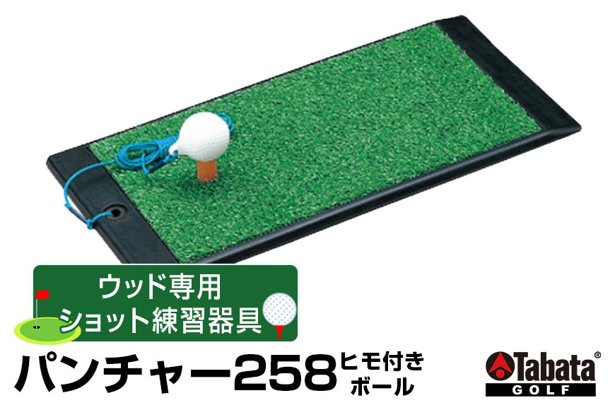 タバタ Tabata パンチャー258 ヒモ付きボールGV0258 練習 ゴルフ コンパクト トレーニング 茨城県 【テンポイント（株）】【ho1320】