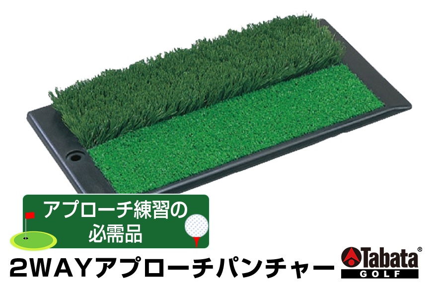 タバタ Tabata 2WAYアプローチパンチャーGV0260 練習 ゴルフ ラフ フェアウェイ トレーニング 茨城県 【テンポイント（株）】【ho1321】