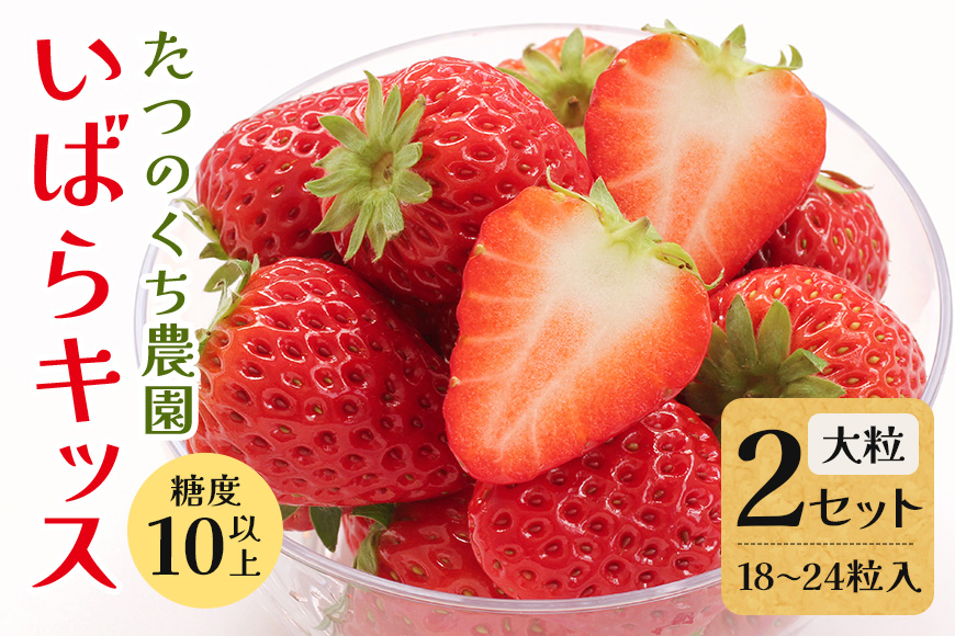 いばらキッス2セット（大粒18～24粒） いちご イチゴ 苺 旬 フルーツ 青果 果物 デザート 茨城 冷蔵 【たつのくち農園】【ho1465】