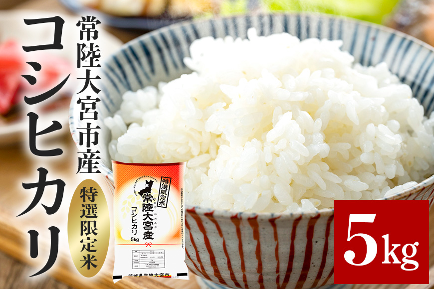 常陸大宮産 コシヒカリ 5kg 特選限定米 白米 精米 おこめ ご飯 国産米 お米ギフト ブランド米 贈答用 人気のお米 美味しいお米 [一般財団法人常陸大宮市観光物産協会][ho1396]