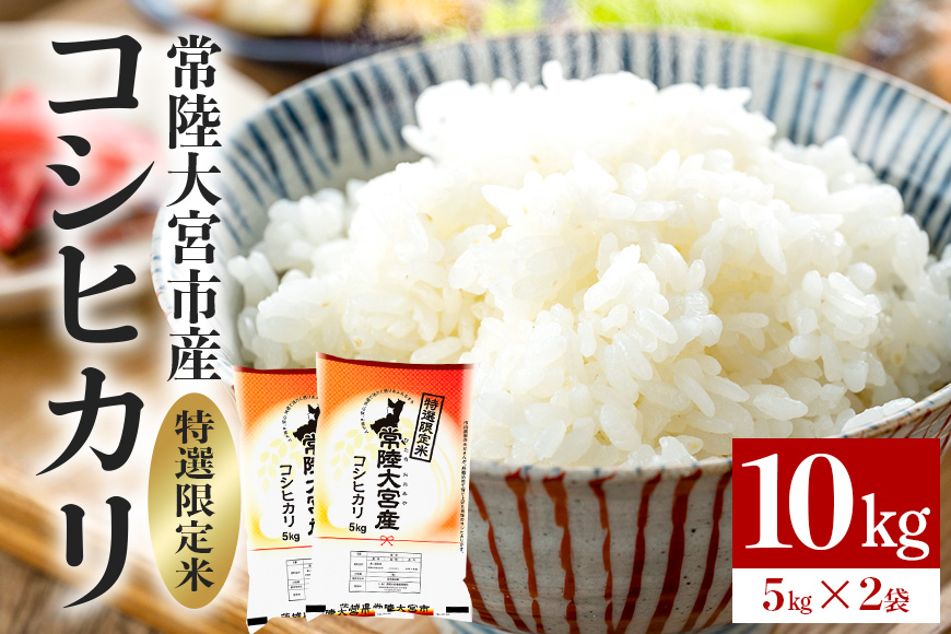 常陸大宮産 コシヒカリ 10kg(5kg×2) 特選限定米 白米 精米 おこめ ご飯 国産米 お米ギフト ブランド米 贈答用 人気のお米 美味しいお米 [一般財団法人常陸大宮市観光物産協会][ho1397]