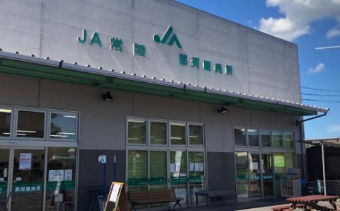 3ヶ月定期便 那珂市のお米 今摺米 コシヒカリ 5kg 令和7年度米 米 お米 白米 こめ 精米 取り寄せ 特産 ごはん ご飯 コメ お取り寄せ ギフト 贈り物 お弁当 弁当 おにぎり ふっくら ツヤツヤ 甘い 農家直送 産地直送 国産 茨城県産