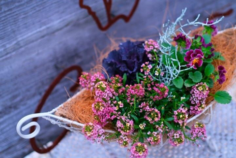 季節の寄せ植え 季節のお花 ベランダ お部屋 玄関先 お花のある生活 花株3株以上 お任せ