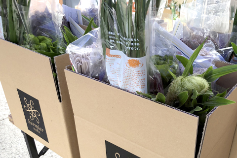 フェルミエ 野菜BOX10?12品 新鮮野菜 詰め合わせ 那珂市産 茨城県産 国産 旬野菜 セット 新鮮 野菜セット 野菜 野菜BOX 旬 厳選 食材 産地直送 お取り寄せ グルメ 季節 野菜詰合わせ おまかせ