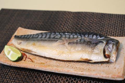 大トロさば文化干し 6枚 茨城県共通返礼品 神栖市産 干物 大トロ さば文化干し サバ 鯖 干物セット 自宅用 おかず さば 文化干し 冷凍 特選 魚 海鮮 新鮮 美味しい おいしい 和食 おつまみ 青魚 DHA 抗酸化 健康