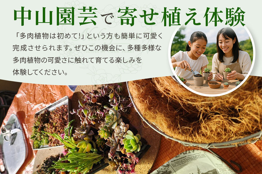 可愛いリース23cm多肉植物寄せ植え体験