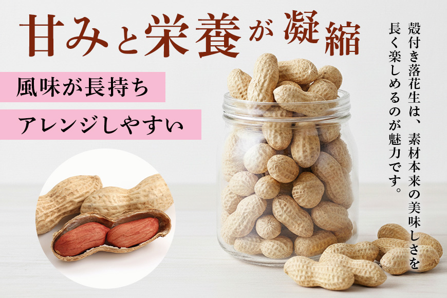 煎り落花生 250g×2袋 500g 落花生 素煎り たっぷり 粒ぞろい こだわり 厳選原料使用 さや煎り落花生 ピーナッツ 薄皮付 おつまみ 健康 らっかせい 殻付き煎り落花生 煎り落花生 茨城県産 那珂市産 国産 ラッカセイ お茶請け 煎りたて