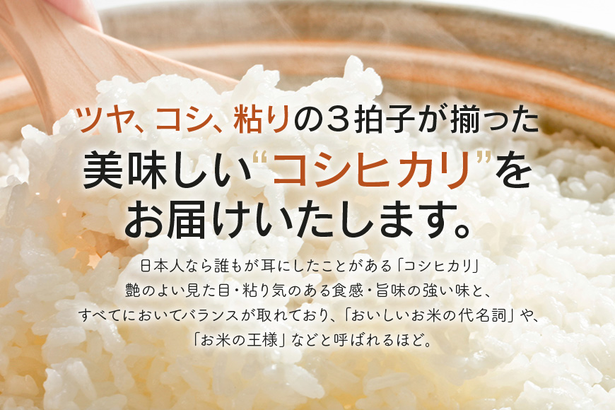 令和7年度産 みねしまふぁーむ 常陸牛農家が育てるコシヒカリ 5Kg コシヒカリ 低農薬 低化学肥料 米 発送直前に精米 精米 コシヒカリ米 茨城県産 白米 お米 コメ おこめ こめ こしひかり 有機 ブランド 健康 ギフト 贈り物