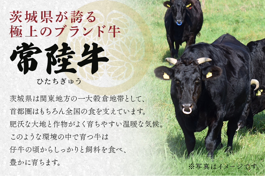 3ヵ月定期便 常陸牛どどーんっ！と定期便 総重量約3Kg超え 茨城県共通返礼品 常陸牛 ステーキ 切り落とし すき焼き 焼肉 黒毛和牛 最高級ブランド お中元 牛肉 上品な脂の甘さ 牛丼 肉ギフト 霜降り ブランド牛 国産牛 しゃぶしゃぶ 冷凍 茨城