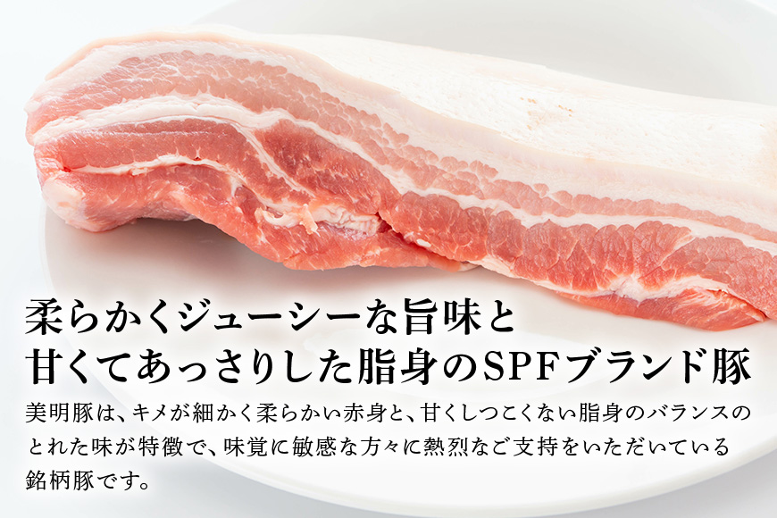 美明豚 切り落とし 2.2kg 1パック550g×4パック 真空パック 茨城県共通返礼品 行方市産 びめいとん ビメイトン ブランド豚 銘柄豚 豚 豚肉 肉 茨城県産 国産 冷凍 美明豚 茨城 焼肉 BBQ