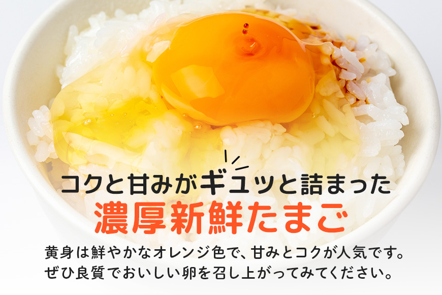 平飼いたまご ひまわりっこ 24個 (22個＋割れ補償2個) 1箱 卵 鶏卵 高品質 贈答 お歳暮 那珂市 国産 高級 安心 平飼い たまご 玉子 無選別 コク旨 濃厚 黄身 白身 地鶏 たまごかけごはんにぴったり
